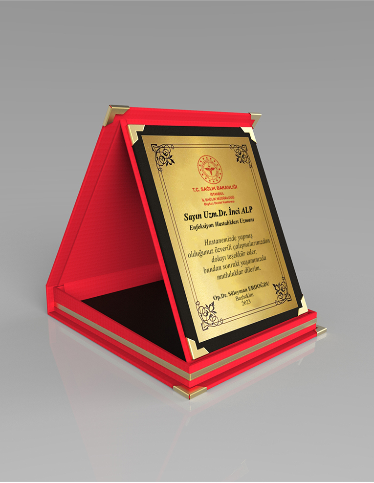 Kırmızı Albüm Plaket - RN003K-34